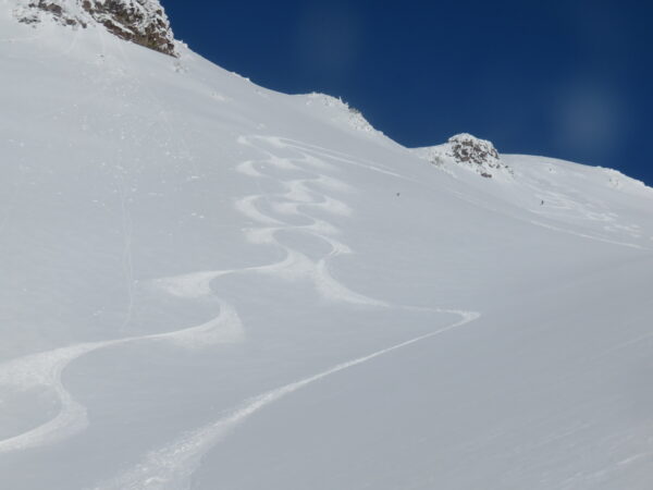 Ski tracks on Casaval Ridge after climbing Mt Shasta!