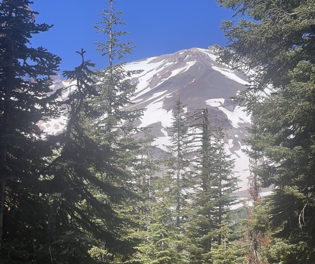 Looking up at the Clear Creek route on Mt Shasta from tree line.